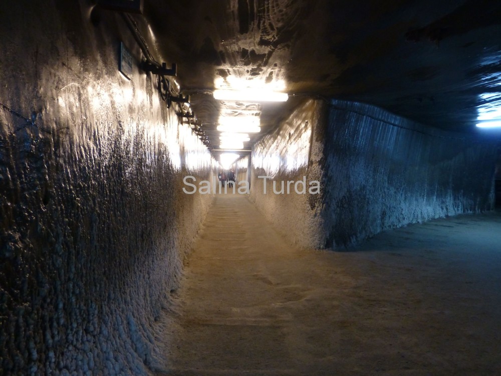 Salina Turda là một đường hầm muối cũ từng được khai thác ở thời Romania, do cơ sở hạ tầng lạc hậu và năng suất khai thác thấp hầm muốn ngừng sản xuất 1932. Cho đến 1992, Salina Turda mở cửa trở lại song với tư cách một khu du lịch.